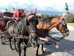 horse carriage in a park in Vienna