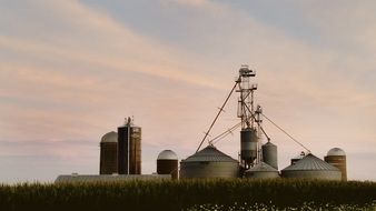 dairy farm in the countryside
