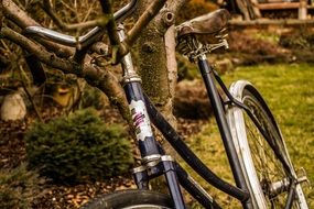 retro bicycle near a tree close-up
