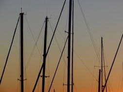 Picture of the Masts