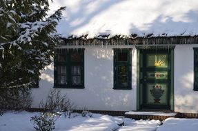 small house with thatched roof in Zingst