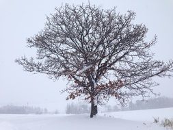 Hokkaido Japan