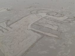 Monster drawing on the sand on the beach