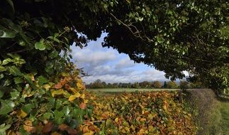 England Styal Rural