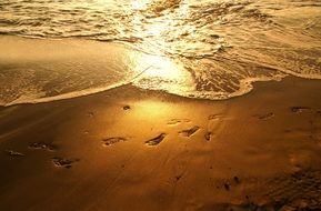 Sunset Sea Beach