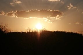 bright sunrise over a rural field in Brazil