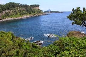 sea-side with green shore in the summer