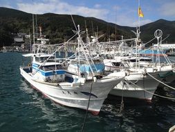 moored Boats in scenic bay, Japan, tsushima