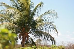 Aracaju Beach