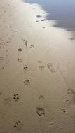 footprints of people on wet sand