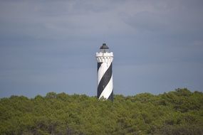 contis Lighthouse in green trees