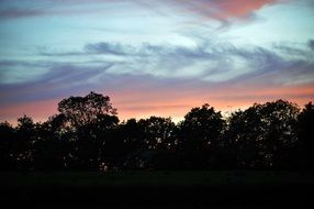 pink blue sunset over trees in Wales