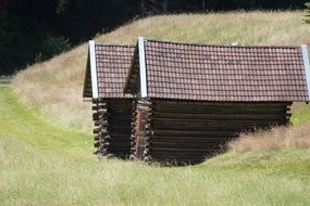 Alpine Hut Grass