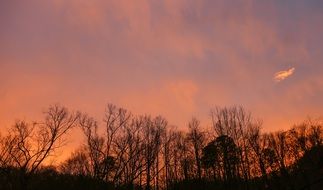 Picture of Evening Sky