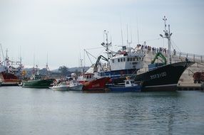 remote view of fishing boats in the port