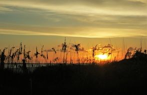 view through the grass at a bright sunset