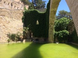 Picture of cathedral in Mallorca at summer