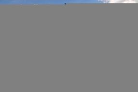Meadow Nature View Landscape N4
