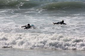 Ocean Surfer