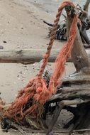 pollutted beach in Kolka