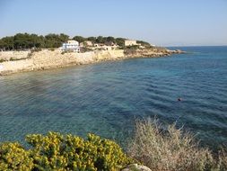 Marseille Mediterranean
