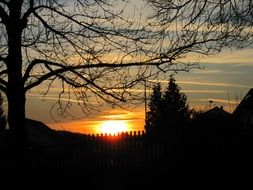 silhouettes of trees at dusk during sunset