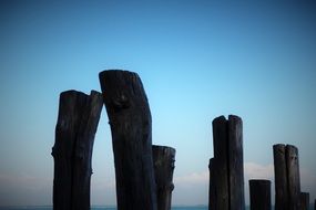 Driftwood at colorful sky background