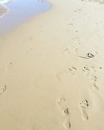 footprints in the white sand