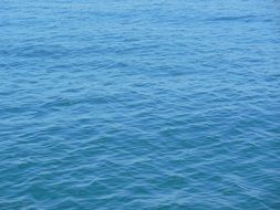 summer sea close-up