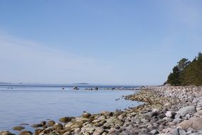 rocky coastline in summer
