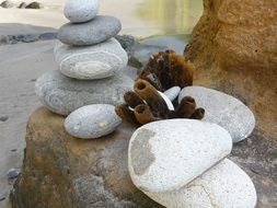 stacked white stones and brown algae on the shore
