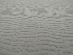 waves of the sandy beach
