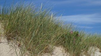 North Sea Sylt Beach