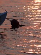 Buoy Evening Sea Sunset