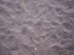 footprints on the sand of a beach