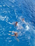 Swimming Blue Cayman