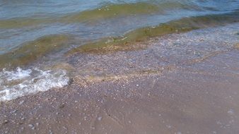 Beautiful landscape of the coast of Baltic Sea