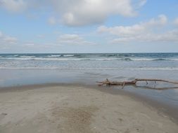 Landscape of Driftwood on a ocean beach