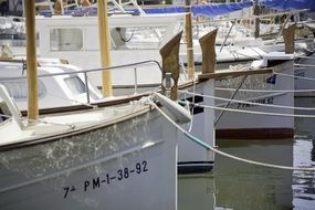 boats in the port are next to each other