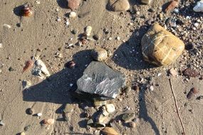 pebble stones on the beach