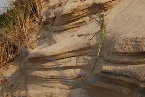 Dune The Baltic Sea