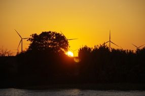 yellow sunset over wind turbines