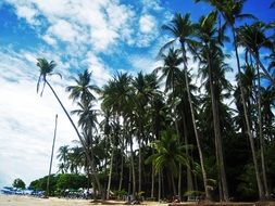 beach in Costa Rica