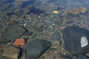 delightful Rocks Coast