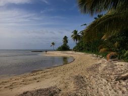 tropical beach of Caribbean Sea