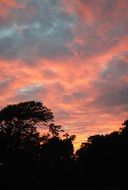 Sunset Evening Silhouette Sky