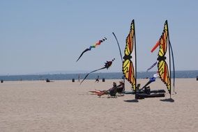 Beach Venice California