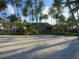 territory of a hotel in the Dominican Republic