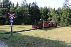 train with tourists in the forest in Salzburg