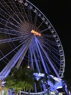 Ferries wheel at night in Bangkok
